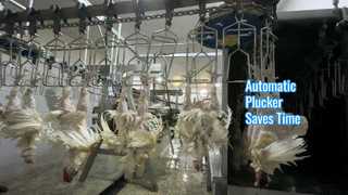 لوله کش اتوماتیک