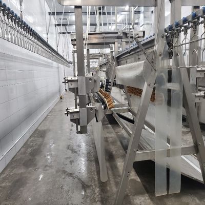 ماشین ذبح خودکار مرغ 500-1000 BPH خط ذبح مرغ