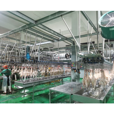 خط کشتار سفارشی برای ماشین آلات کشت مرغ قصاب 300-1000 Bph ظرفیت