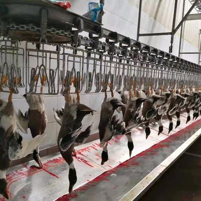 ماشین کشت مرغ، مرغ، هوز، بوقلمون، اردک ماشین فرآوری مرغ 1000BPH