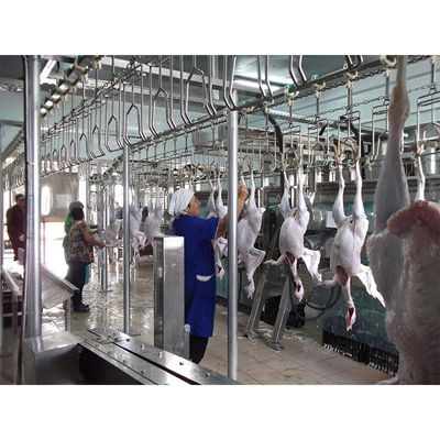 خط انتقال خون پرندگان 200BPH - 10000BPH ظرفیت برای مزارع