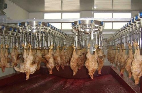 خط تولید فرآوری طیور قابل تنظیم و با دوام با مواد استیل ضد زنگ استیل ضد زنگ 304