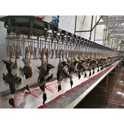 خط کشت مرغ با ظرفیت بالا ماشین کشت مرغ حلال 1000BPH