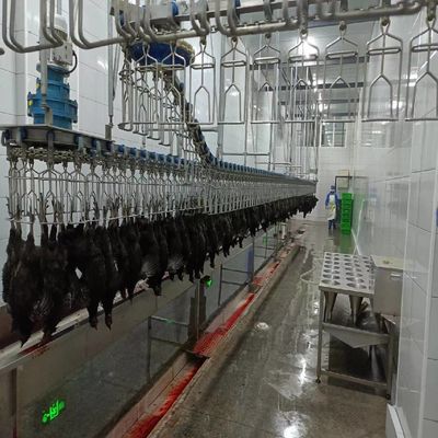 ماشین ذبح مرغ اتوماتیک حلال 500 bph ماشین چیدن مرغ