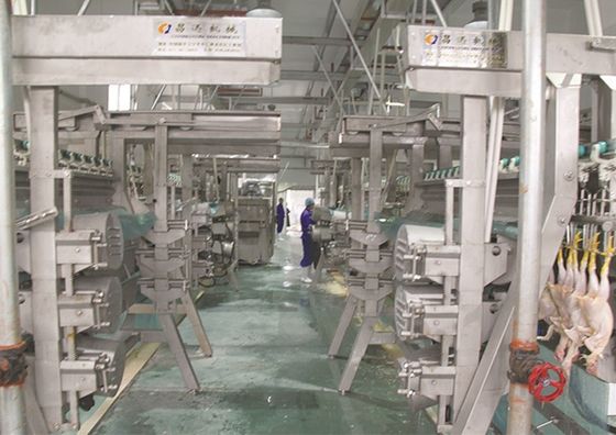 مهندسان نصب برای خدمات خارج از کشور در خط پردازش مرغ فولاد ضد زنگ