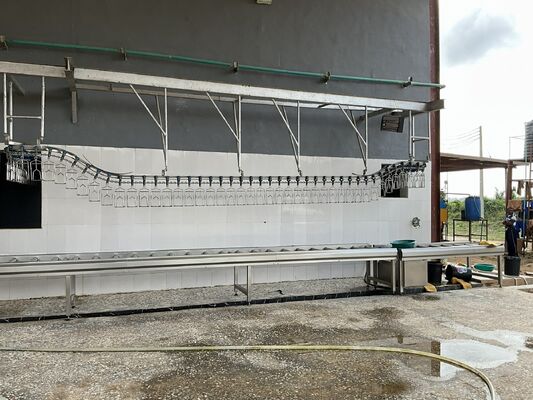 خط فرآوری مرغ با کارایی بالا و گواهینامه حلال برای 1000 پرنده در ساعت